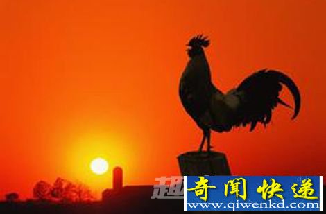 通灵之谜:中国古代哪些动物可以通灵?