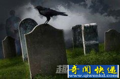 通灵之谜:中国古代哪些动物可以通灵?