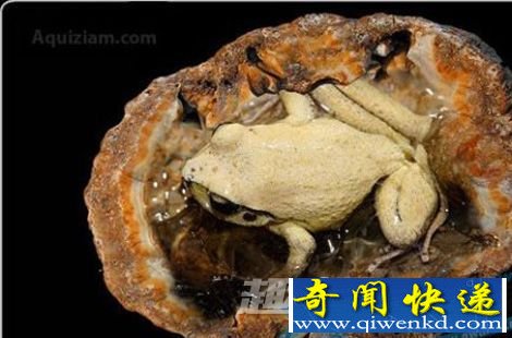 诡异至极:盘点历史上六大不可思议事件