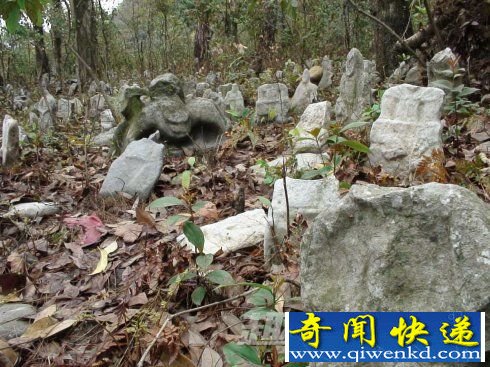 七个你不知道的未解之谜!再不看就晚了!