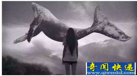 蓝鲸游戏发明者终入狱 青少年为什么会加入自杀群?