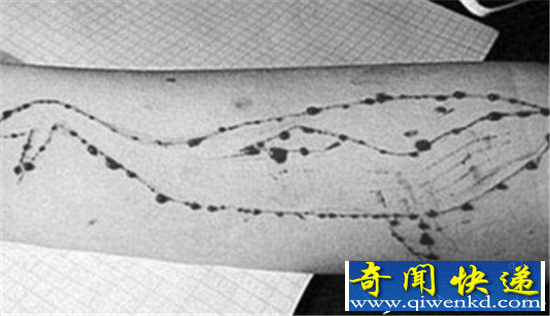 蓝鲸游戏的50个任务是什么?蓝鲸游戏内容曝光