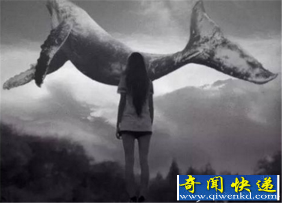蓝鲸游戏的50个任务是什么?蓝鲸游戏内容曝光