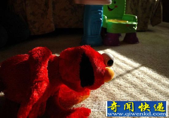 全球最诡异的被诅咒之物