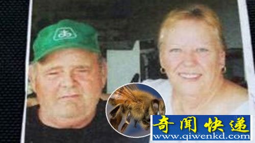 美国一男子遭非洲蜂围攻 被蜇刺上千次后死亡