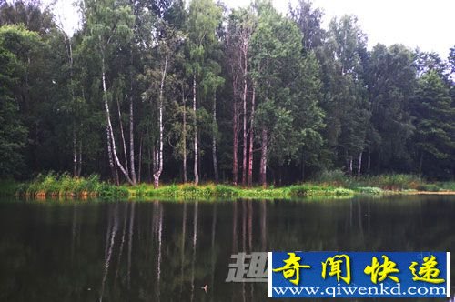 森林