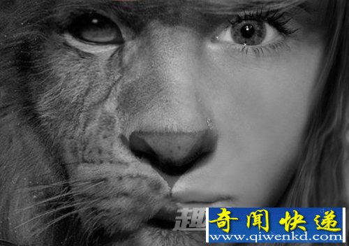 猫脸老太