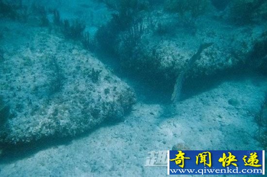 比米尼