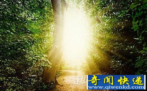 科学家 意识 留存 降临 死亡