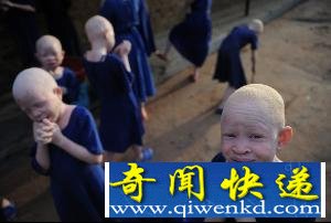八大蛊术的内幕