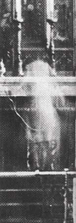 ڽü̳ǰģƬһ͸ΣƺŽʿۡ