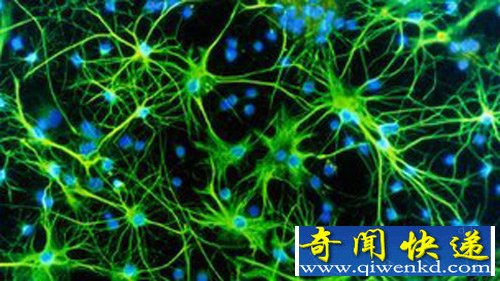 人类濒死经历的真正原因