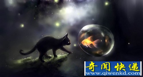 通灵猫