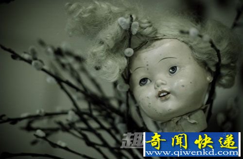 布娃娃