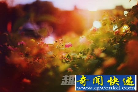 梦境