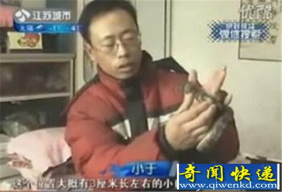 男子救蛇一命 蛇竟救活他全家