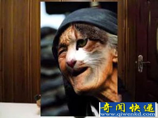 猫脸老太太事件真相揭秘:遭猫扑诈尸还魂