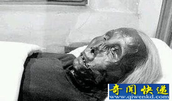 猫脸老太太事件真相揭秘:遭猫扑诈尸还魂
