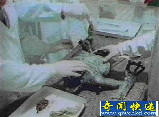 揭秘真实存在的特异功能 克格勃超常现象研究档案公开