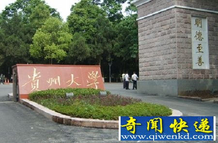 一天一个侦探家 论坛诡异碎尸案
