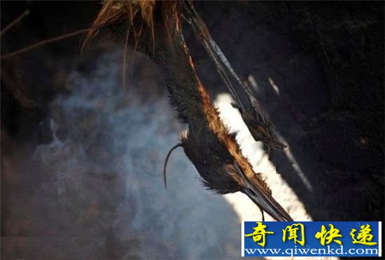 乌干达残忍祭拜神灵 儿童竟被割走器官作为祭品