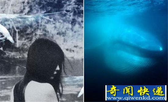 蓝鲸游戏女性参与者被裸照威胁 网友:这和裸贷一个套路?