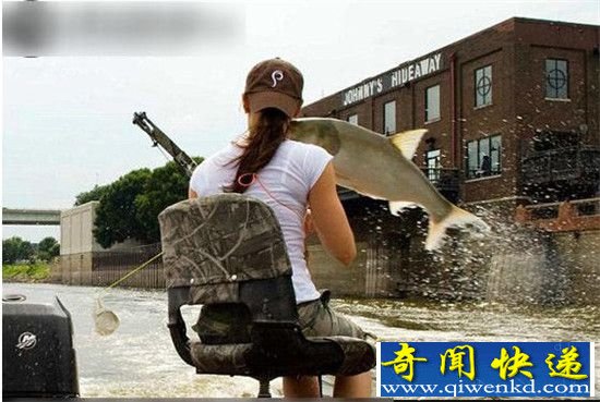美国鲤鱼成灾 向中国寻求解决之道