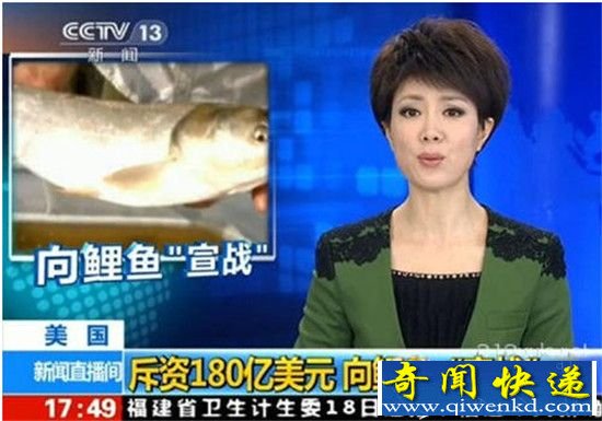 美国鲤鱼成灾 向中国寻求解决之道