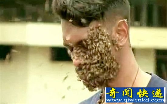 头上布满6万蜜蜂 印度小哥用生命演绎与蜂共舞