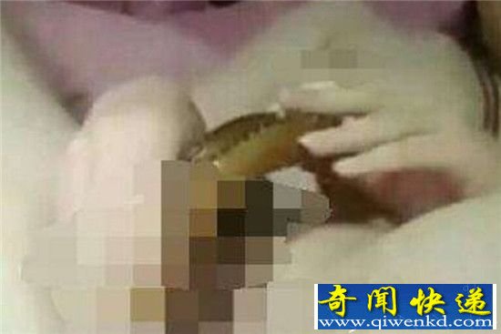黄鳝门女主播黄鳝自慰被抓入狱 冯提莫吃精门草粉含吊再刷下限!