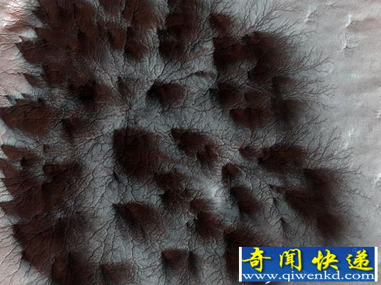 NASA:火星遍布“蜘蛛”形状放射体