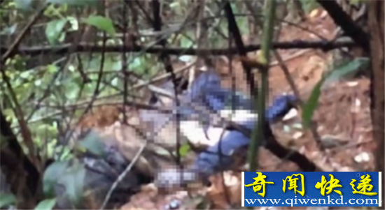 直播采蘑菇遇腐尸:主播荒野求生嗅腐味 查看竟是尸体