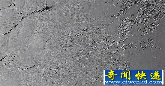冥王星惊现会动的物体 大量“虫洞”疑似不明生物入口