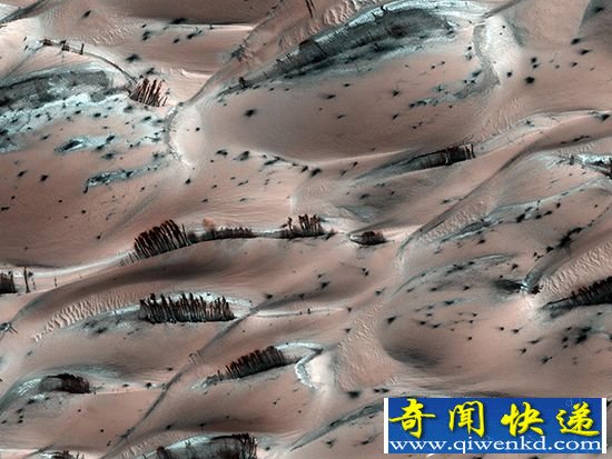 NASA发布火星“森林”照 实为一种错觉