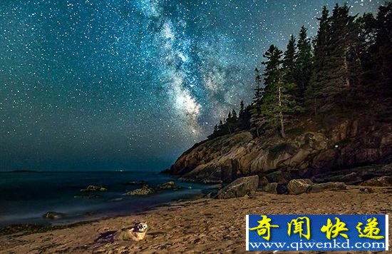 璀璨绚烂银河系 被可爱海豹抢镜
