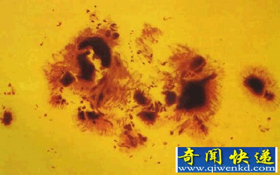 太阳黑子爆发
