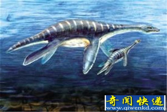 世界已灭绝动物盘点:尼斯湖水怪是最后一只恐龙!