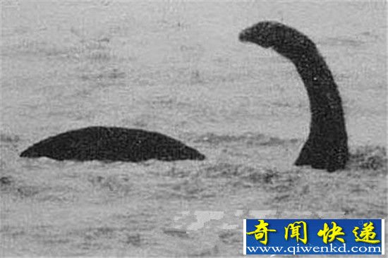 世界已灭绝动物盘点:尼斯湖水怪是最后一只恐龙!