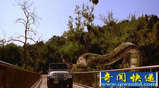 泰坦蟒激战帝鳄胜负难分 霸王龙险被生吞