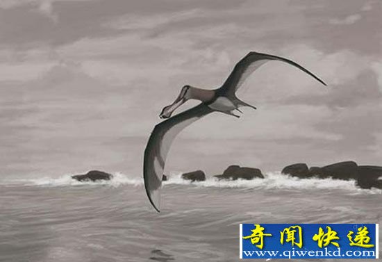 十大神秘生物具备超自然能力 不信你看!