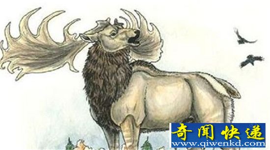 动物界十大奇迹 远古生物巨型蚯蚓重现地球?