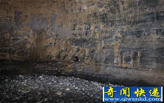 贵州溶洞惊现神秘飞猫 飞猫究竟是什么猫?