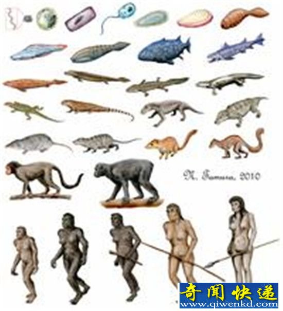 远古生物物种大灭绝 引发“生物超级进化”