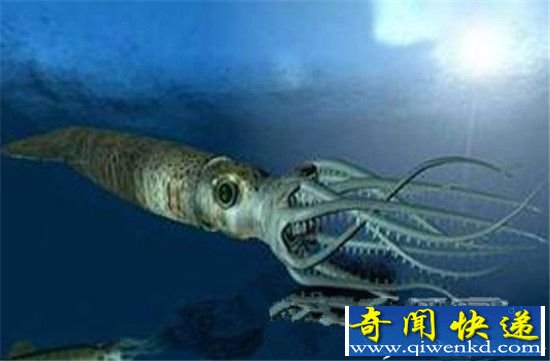 动物界中十大超能力动物 鲶鱼约有10万个味蕾