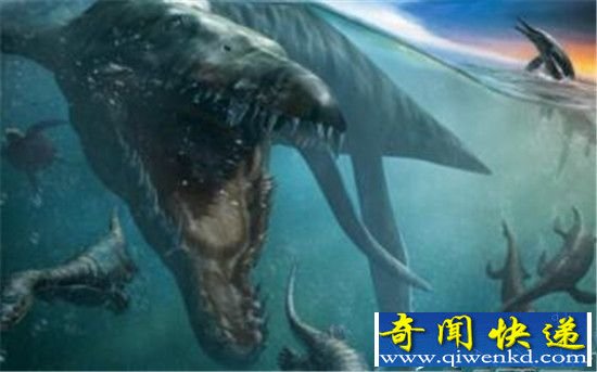史前生物龙王鲸PK霸王龙 谁才是王者?