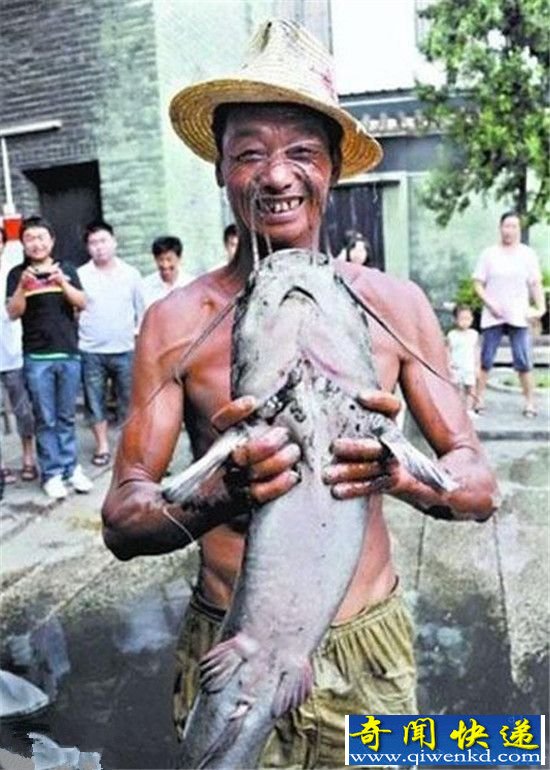动物界十大重量之王 绝对让你意想不到!