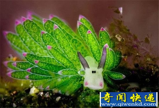 嵺غ οɰ翨ͨţ
