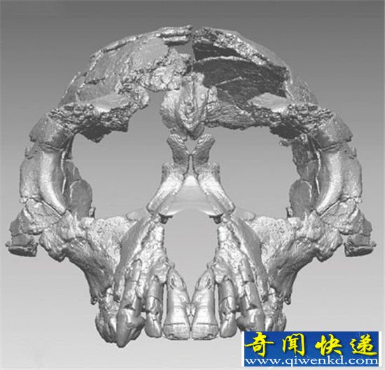 远古巨蛇身长超过巴士 盘点十大古生物发现