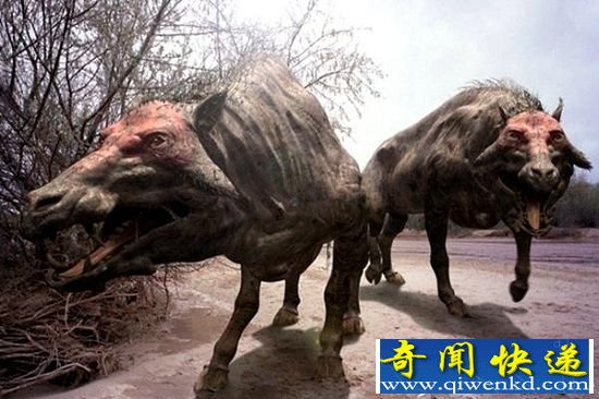 远古时期猪类这么猛? 四大史前巨猪可与恐龙搏斗