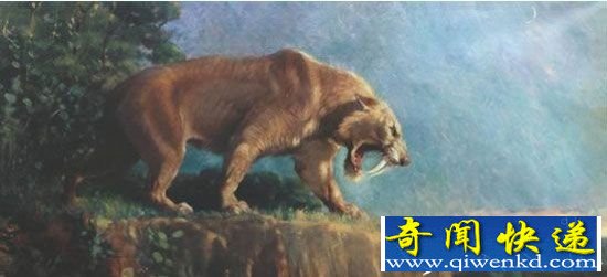剑齿虎灭亡真相:猛犸象逃亡北极被饿死